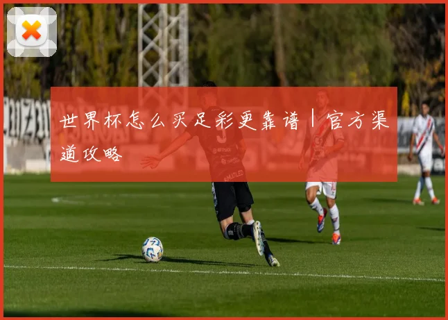 世界杯怎么买足彩更靠谱|官方渠道攻略