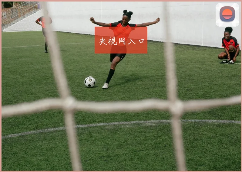 央视网入口