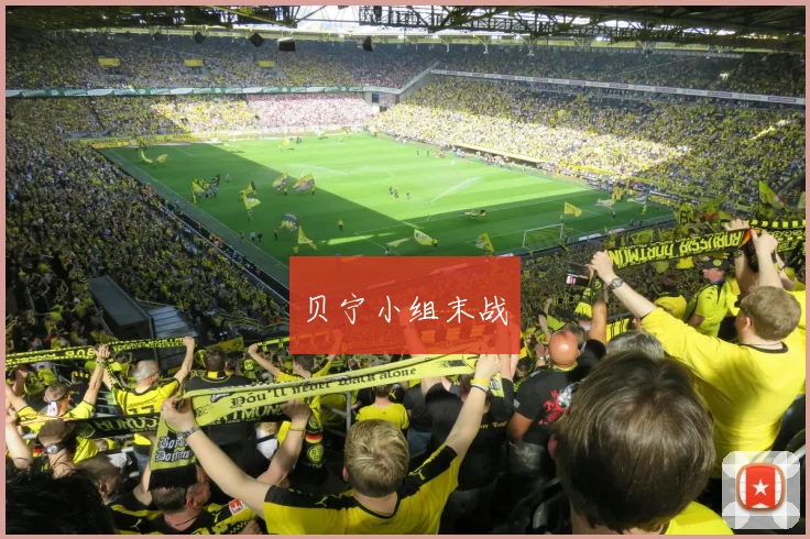 贝宁小组末战