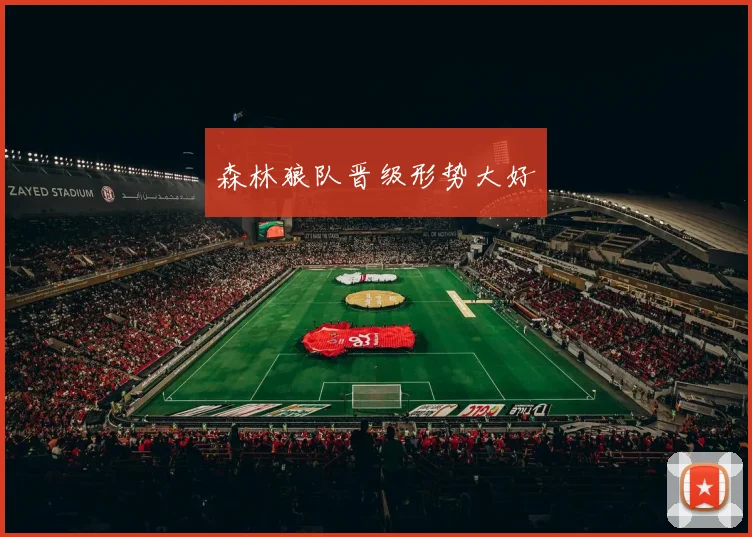 森林狼队晋级形势大好