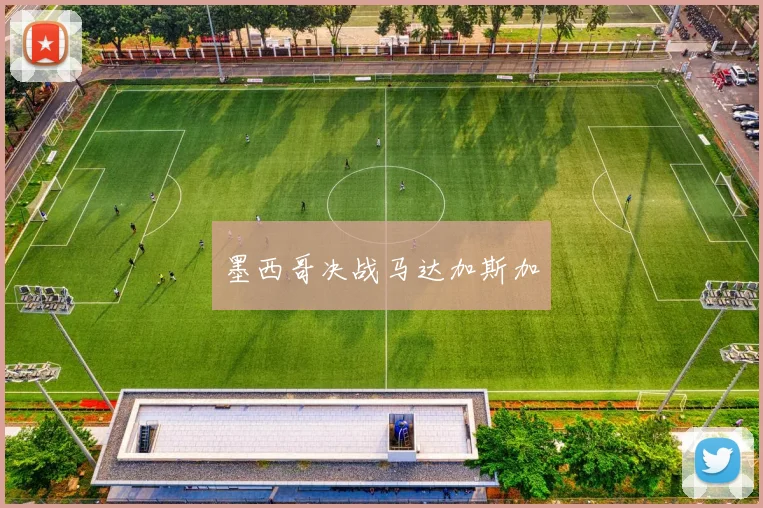 墨西哥决战马达加斯加