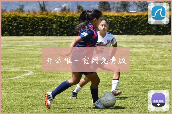 开云唯一官网免费版